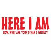 Here I Am Now What Are Your Other 2 Wishes T-Shirt
