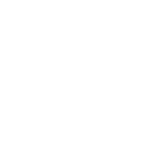 Roadkill T Shirts - And God Said And Then There Was Light T-Shirt