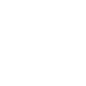 Never Underestimate The Power Of Stupid T-Shirt