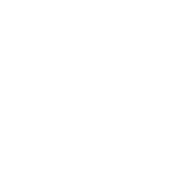 Um The Element Of Confusion - Roadkill T Shirts