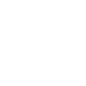 I Never Argue I Just Explain Why I'm Right - Roadkill T Shirts