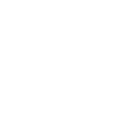 Stop Staring At My Cock - Roadkill T Shirts
