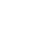 Internet Was Down So I thought i Would come outside today - Roadkill T Shirts