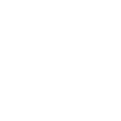 I'm Not Rude. I Just Say What Every One Else Is Thinking - Roadkill T Shirts
