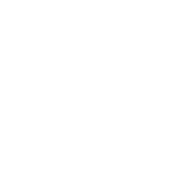 I Got Out Of Bed For This - Roadkill T Shirts
