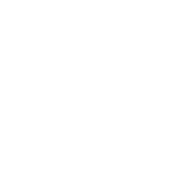 Best Dad Ever - Roadkill T Shirts