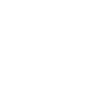 Best Husband Ever - Roadkill T Shirts