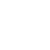 7 Days Without A Pun Makes One Weak T-Shirt - Roadkill T Shirts