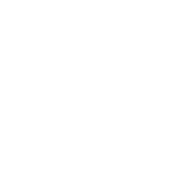 Aren't We Taking The Idea That Anyone Can Be President A Little To Far? - Roadkill T Shirts