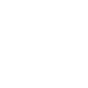 Save The Chubby Unicorn T-Shirt
