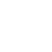 Can You Not - Roadkill T Shirts