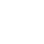 I Like Tacos And Maybe 3 People. - Roadkill T Shirts