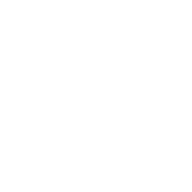 Maybe Swearing Will Help - Roadkill T Shirts