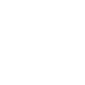 Because I Said So - Roadkill T Shirts