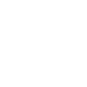 Today Was Good I Put On Pants And Brushed My Teeth - Roadkill T Shirts