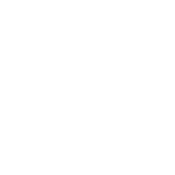 WTF - Where's The Fish - Roadkill T Shirts