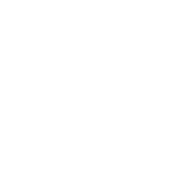 You Can't Tell Me What To Do You're Not My Cat - Roadkill T Shirts