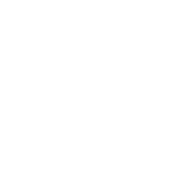 Shake Your Shamrocks