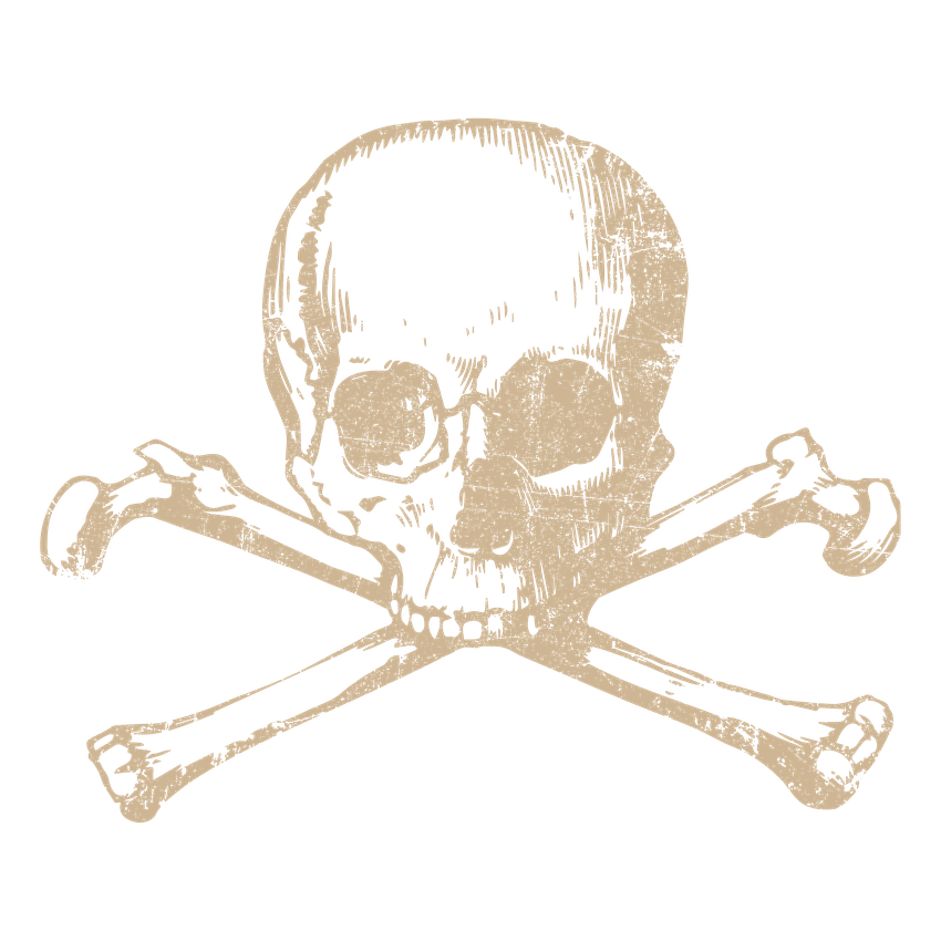 Funny T-Shirts design "Human Skull Mens Tee"