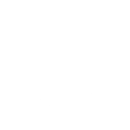 Captain Awesome T Shirt for Mens - Roadkill T-Shirts