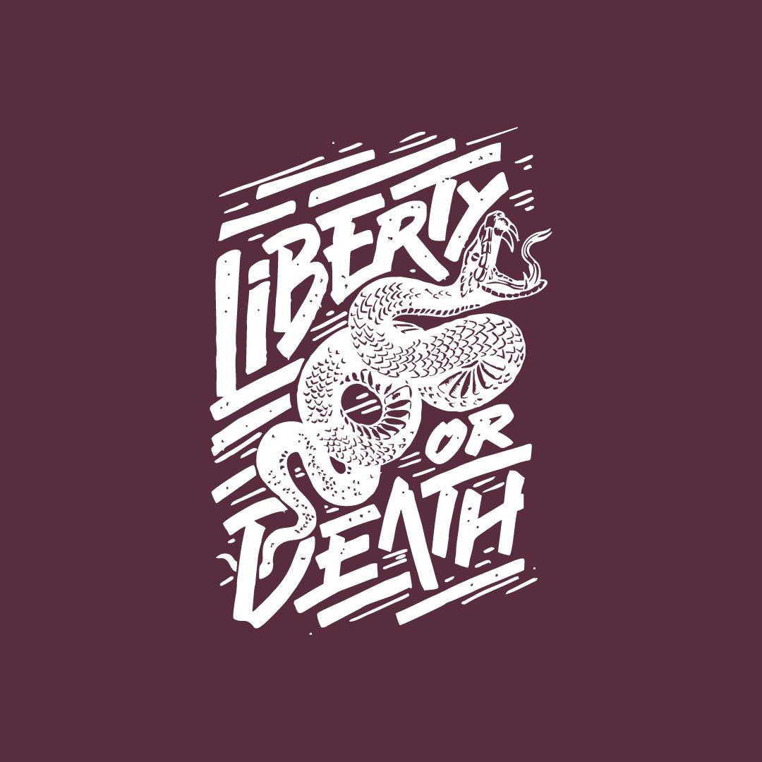Liberty or Death Funny Tee - Roadkill T-Shirts