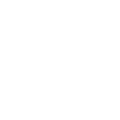 Shenanigans Investigator T Shirt
