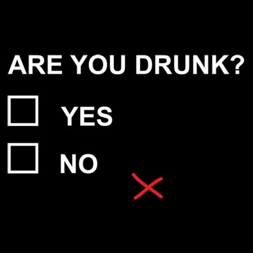 Are You Drunk - Roadkill T Shirts